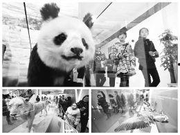 动物之内,动物界的奇妙奥秘